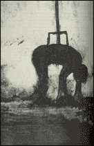 Roasting in excrement